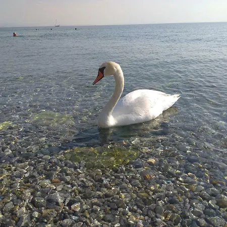 Seafoam Rijeka